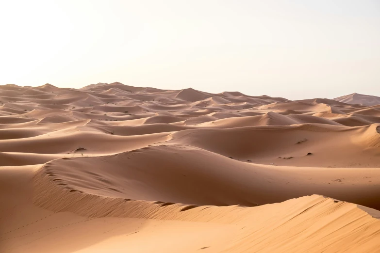 a desert with sand dunes and grass at the bottom