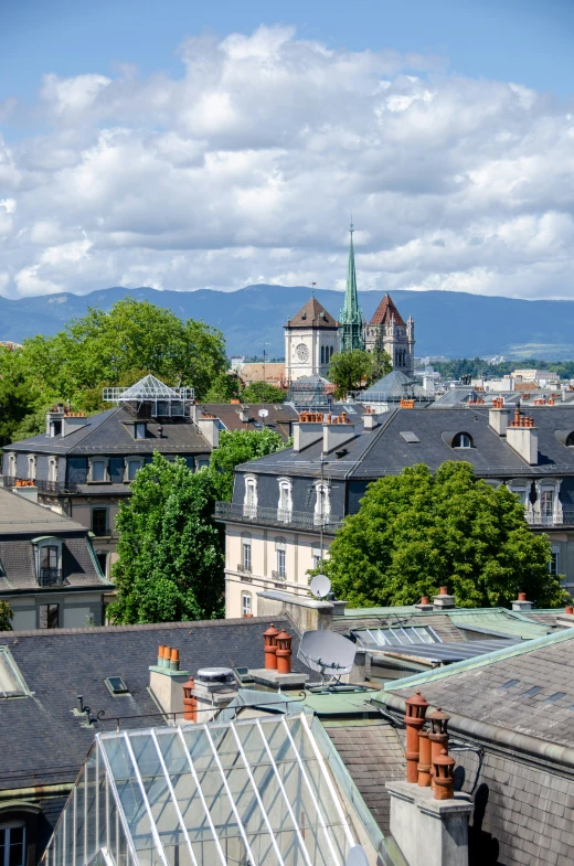 a group of buildings with roofs, windows, and tall towers