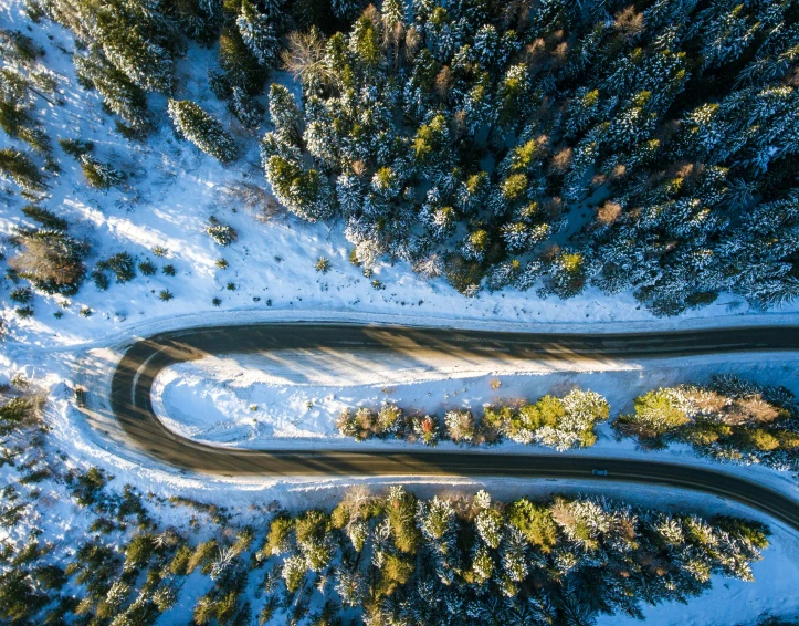 winding road through snow covered pine trees in a forest
