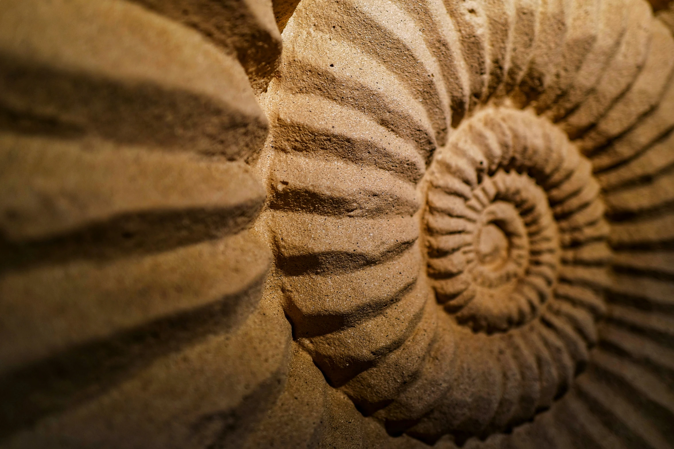 close up pograph of a spiral design on a sandy beach