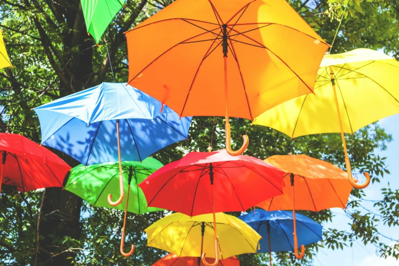 a bunch of umbrellas hanging on the rope in a forest