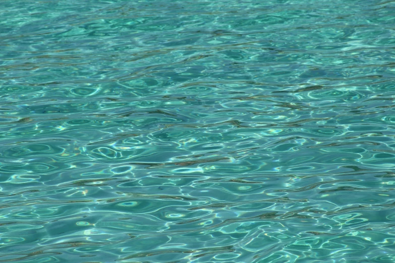 the clear water is reflecting some very blue hues