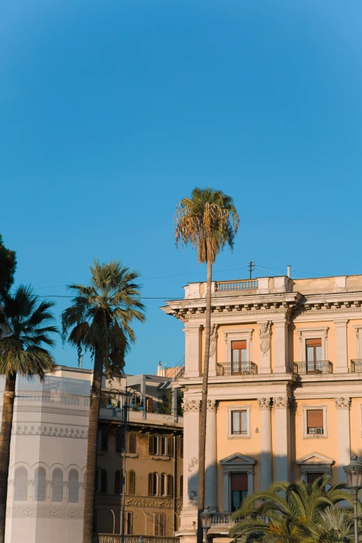 palm trees and building with clear blue sky