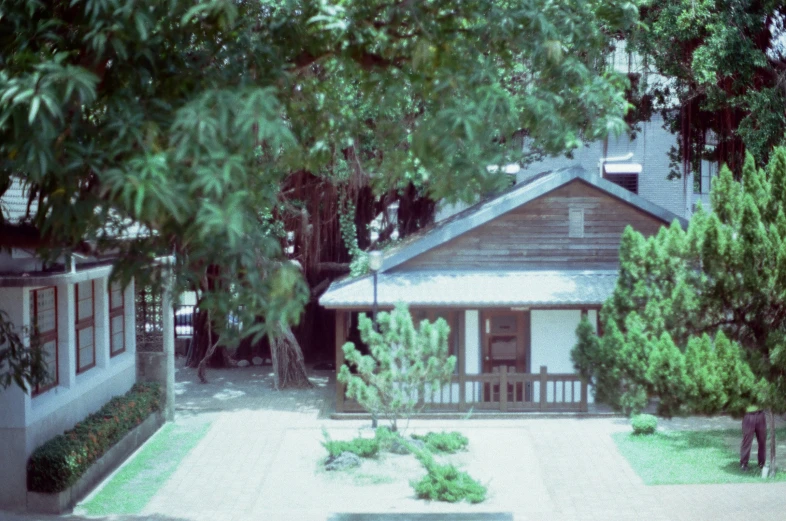 a house sitting between some trees and small shrubs