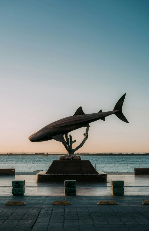 a statue of a shark is on a pedestal near the water