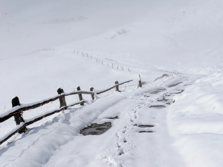 birds perched on the railing of an icy walkway