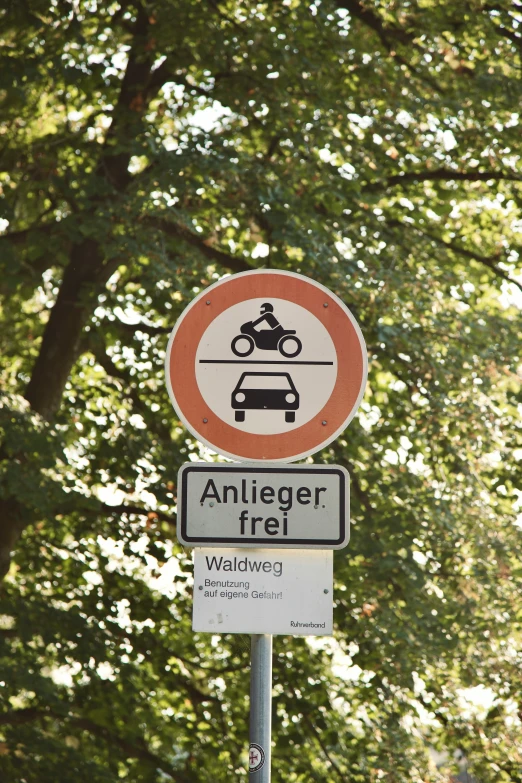 a sign is under a tree on the corner of an intersection