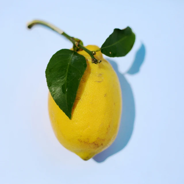 a lemon with a small green leaf on the tip of it