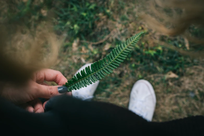 someone holding a fern leaf in front of the camera