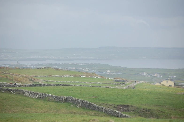 a field with many animals in it near the ocean