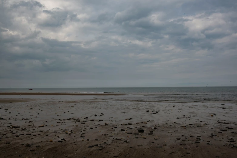 a very sandy shore on the edge of the ocean