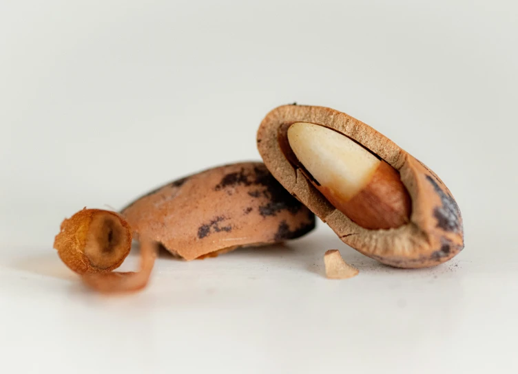 a rotten banana laying down on its side