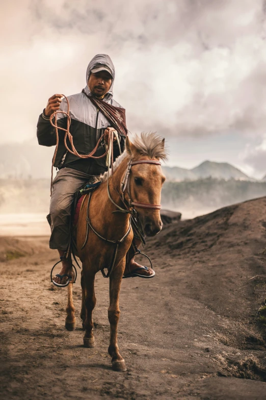 a man riding on the back of a brown horse