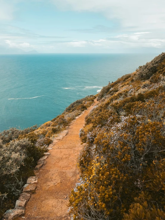 the path going up to the sea is empty