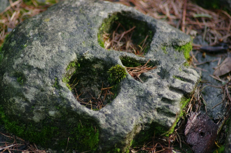 a stone skull laying on top of grass