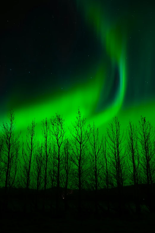 the aurora lights against the dark blue sky