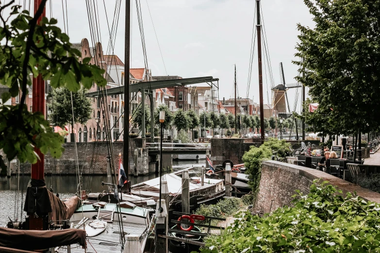 some boats are docked at the shore by some trees