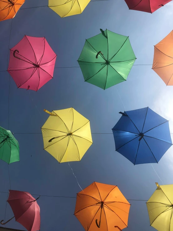 a group of umbrellas hanging on ropes