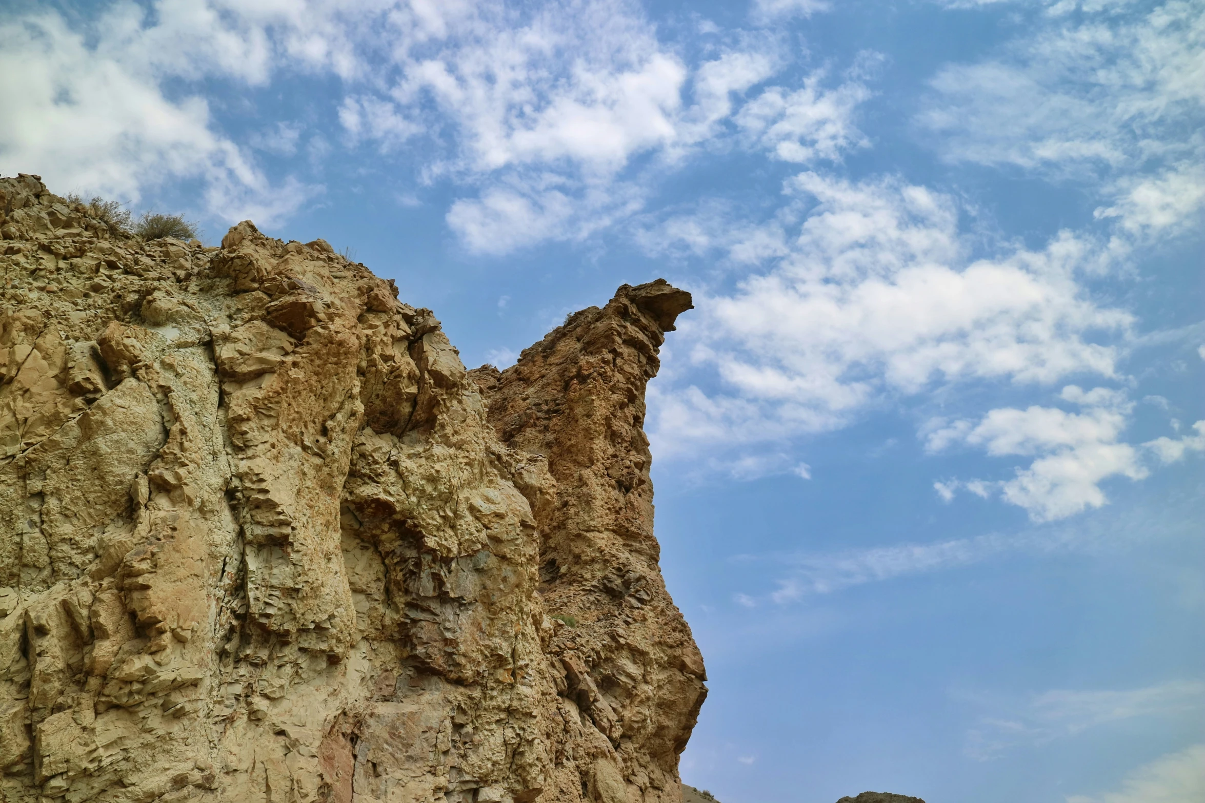 a bird is standing on a rock ledge