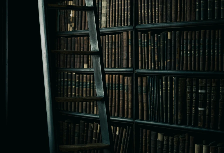 an image of a book shelf filled with books