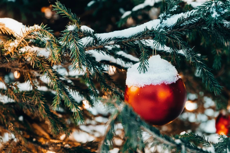 an ornament hanging from a pine tree covered in snow