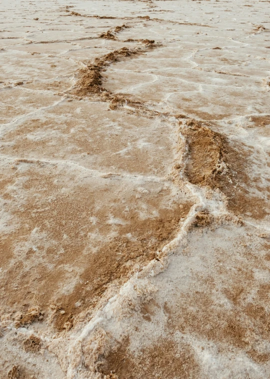 a view of some water and rocks with footprints coming out of it