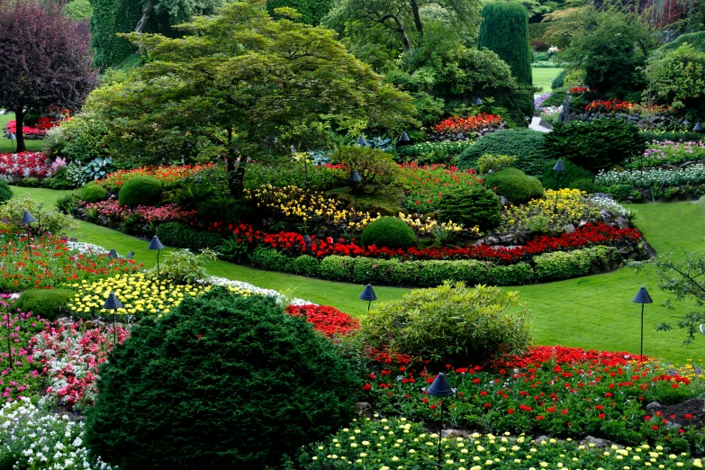 an overview of a large green grassy garden with red and yellow flowers