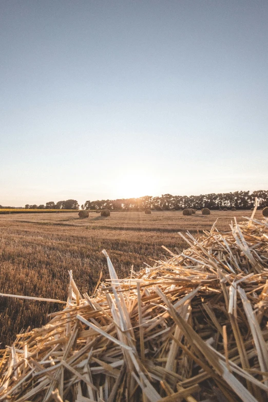 a large field full of hay and trees in the distance