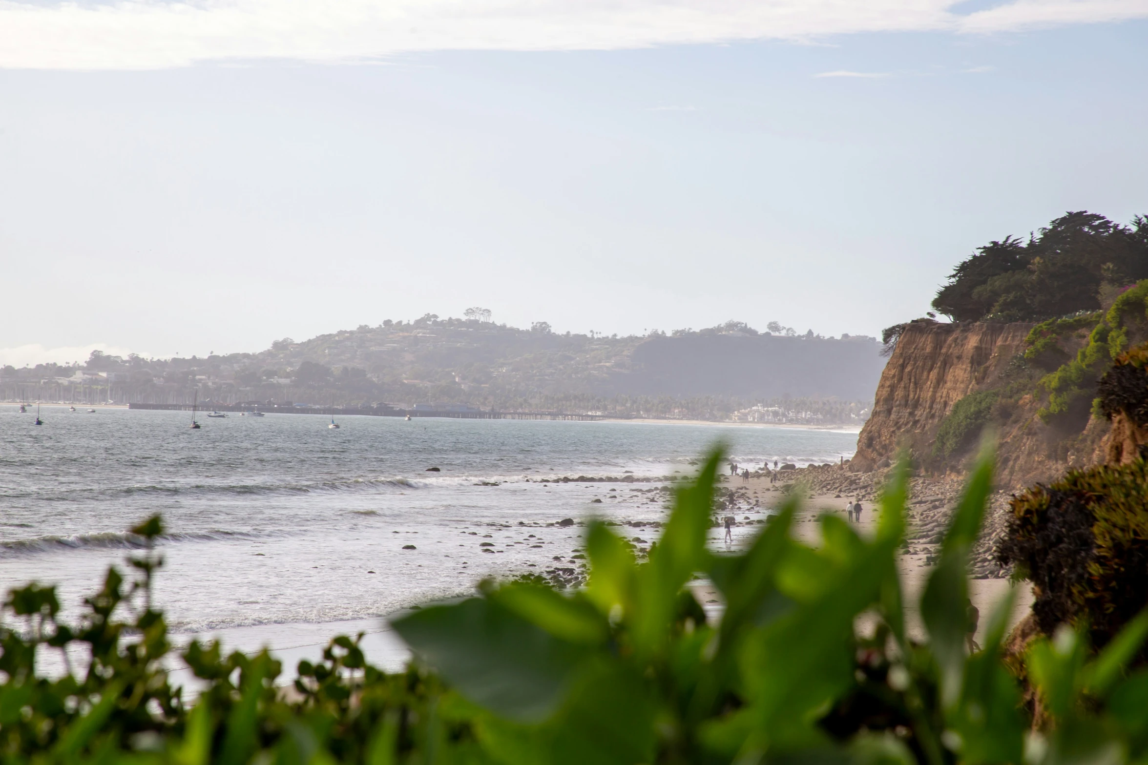 a distant s of a shoreline with trees