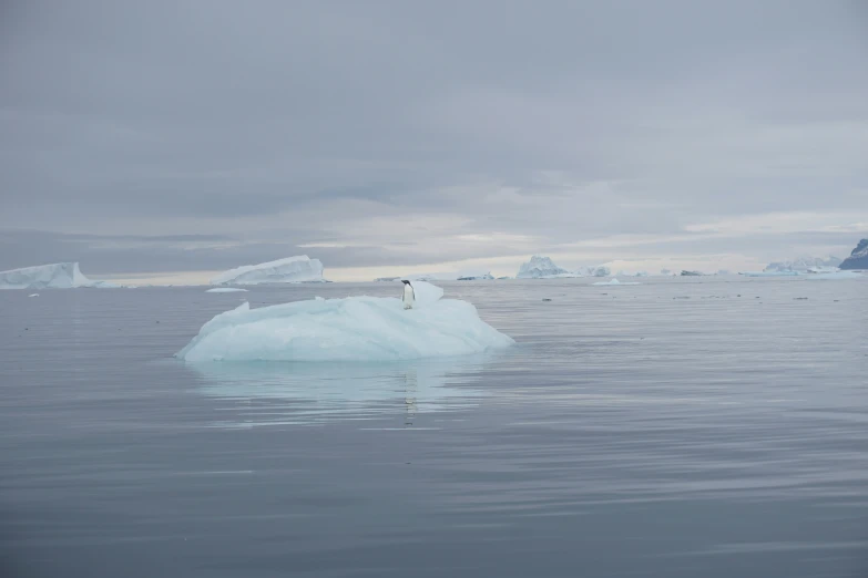 some icebergs and one is in the water