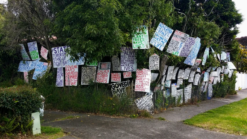 an array of graffiti pictures hanging up on the side of a wall