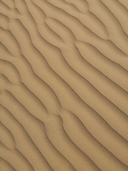 a desert that is covered in sand and grass