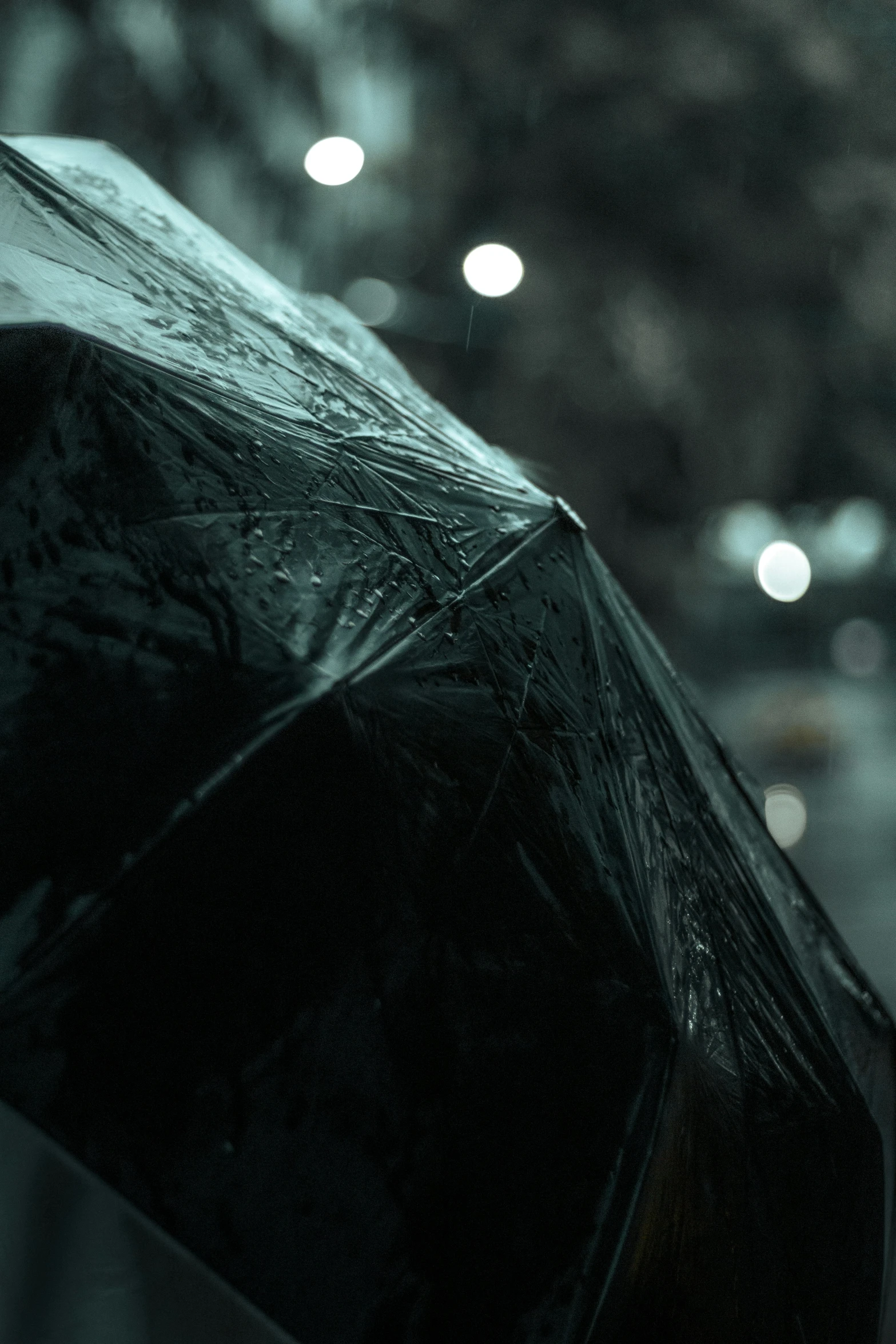 someone holding their umbrella near a tree filled with lights