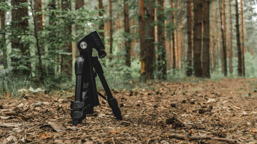an electronic device is on a tripod in the middle of the woods