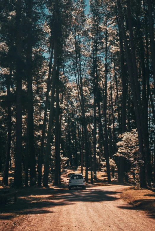 a truck traveling down a road in the woods