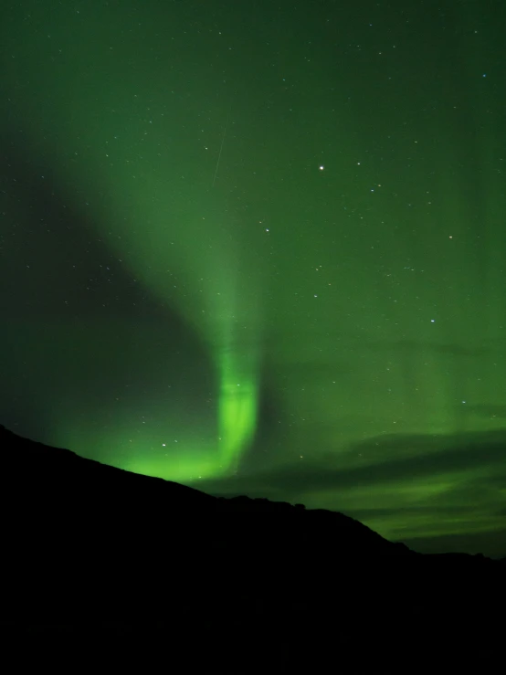 a large aurora bore over a mountain under stars