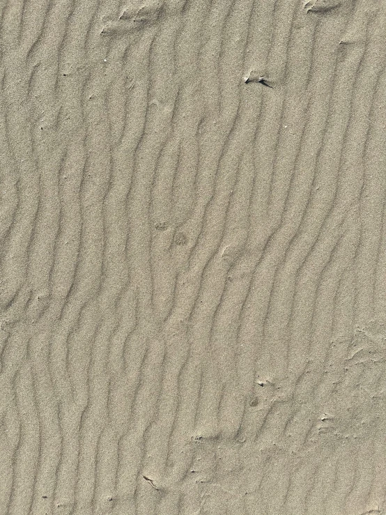 an umbrella that is standing in the sand