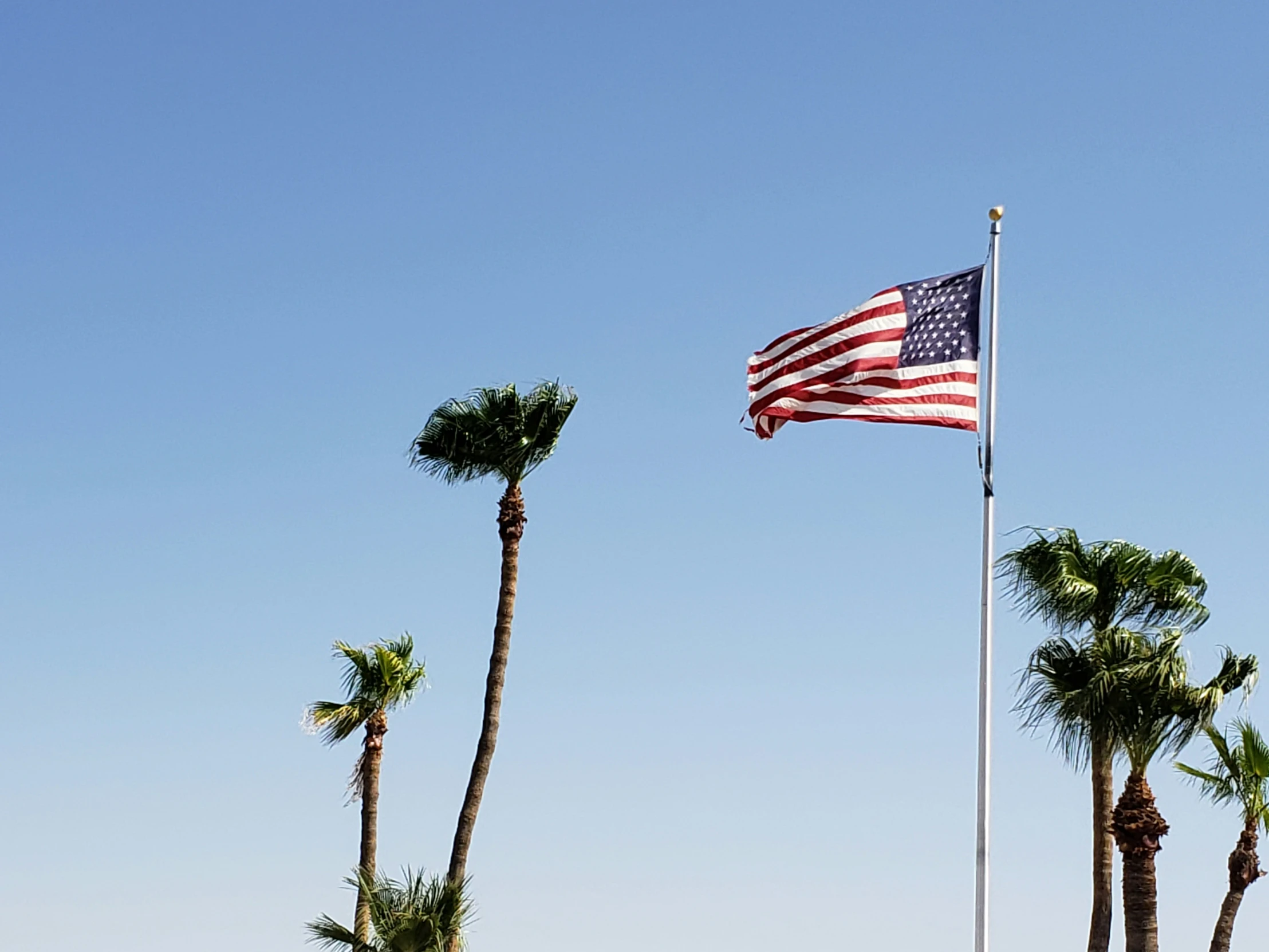 an american flag flies high over palm trees