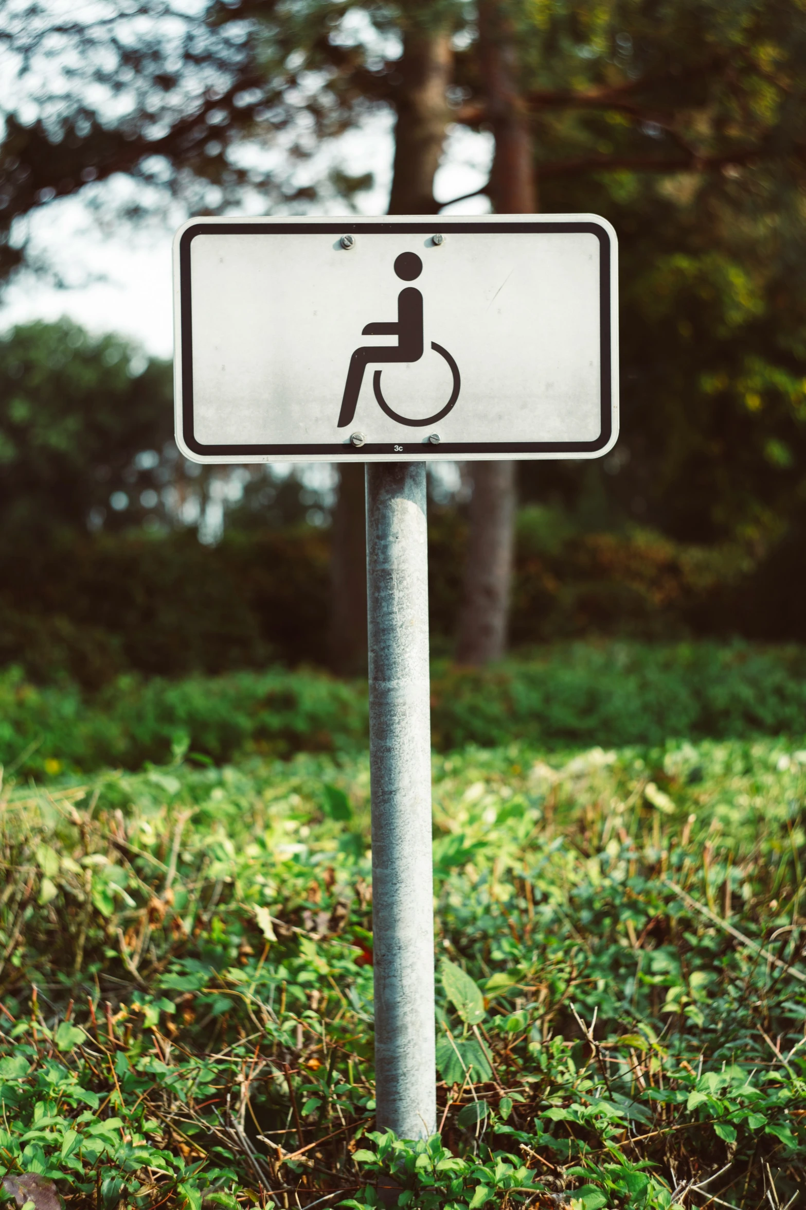 a road sign indicates handicapped parking is posted on a pole