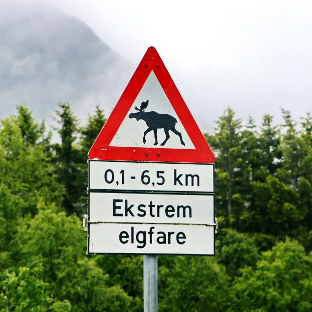 a red and white sign indicating a deer crossing in the woods