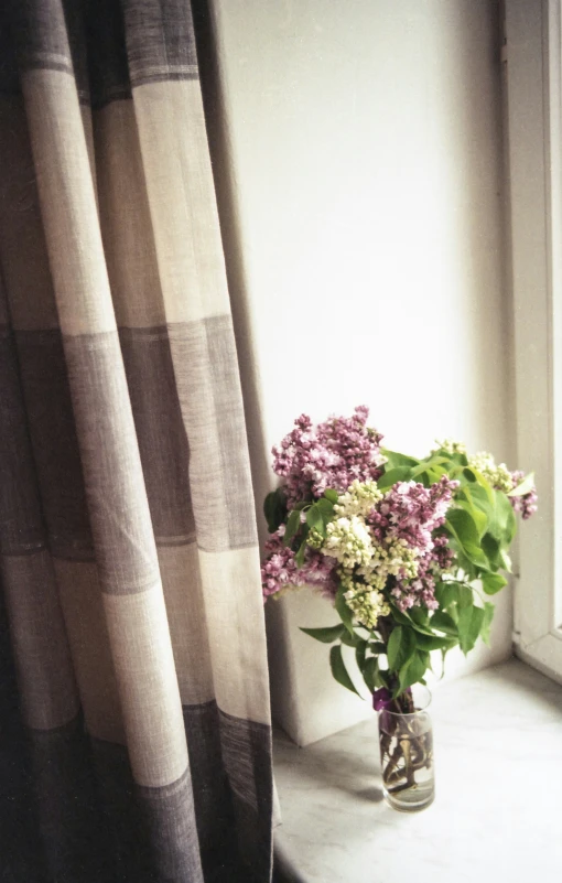 a vase of flowers is on the ledge near a window