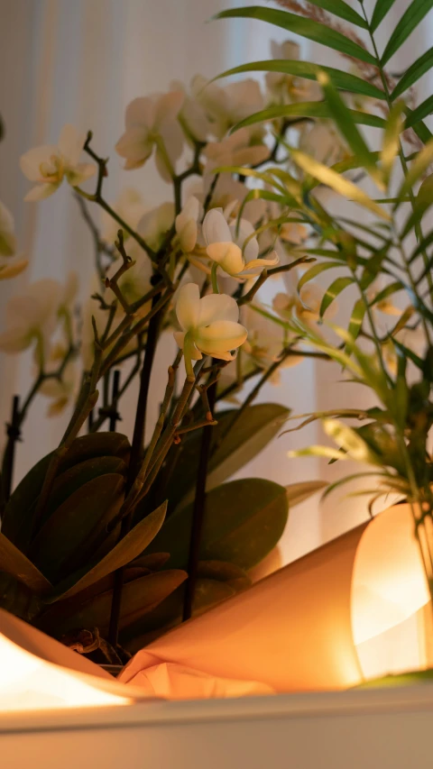 some very pretty flowers on a shelf near some light