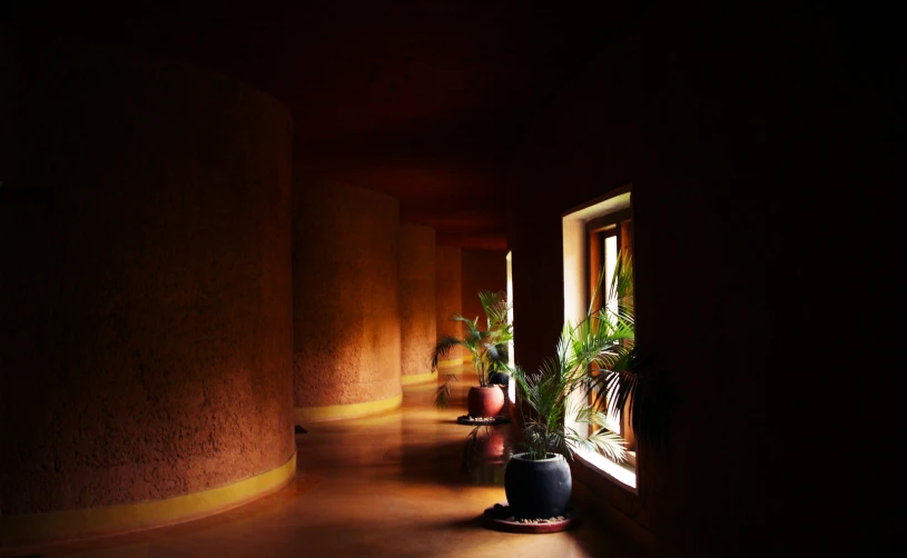 a narrow hallway in a building has potted plants