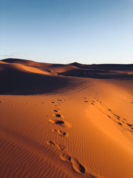 the sand dunes near wading is almost completely covered in bright orange light