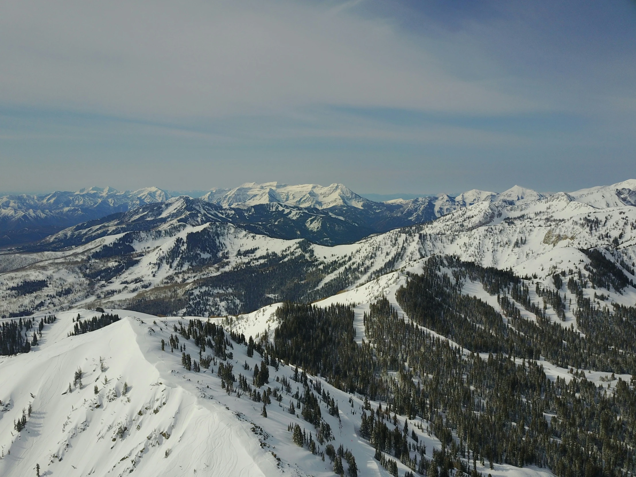 view from atop the mountain with a few snow laden trees