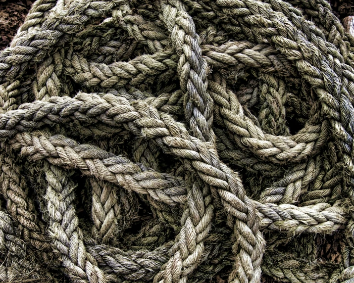 several gray ropes and a bird sitting on a tree