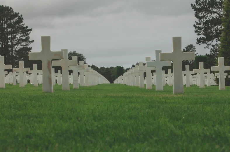 a bunch of crosses that are in a field