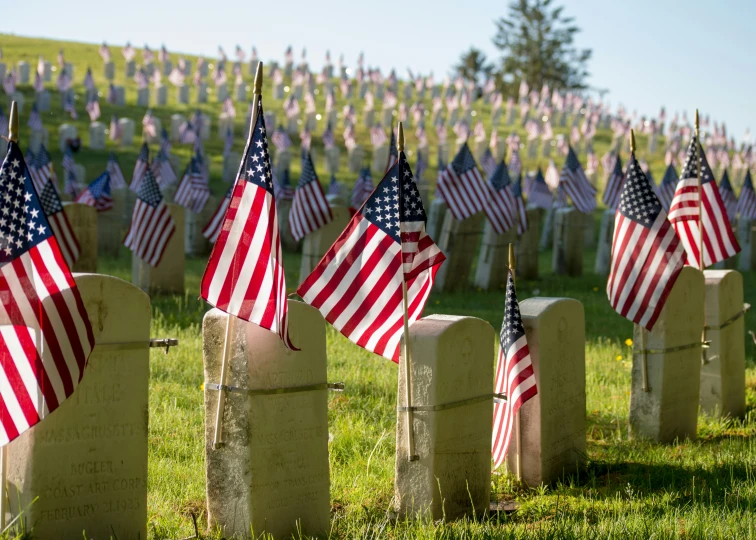 an american cemetery with american flags blowing in the wind