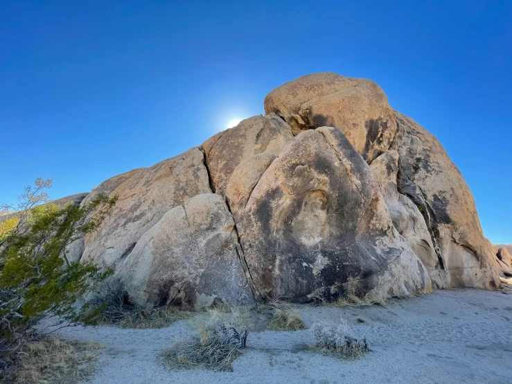 an up - close po of some rocks, trees and the sun