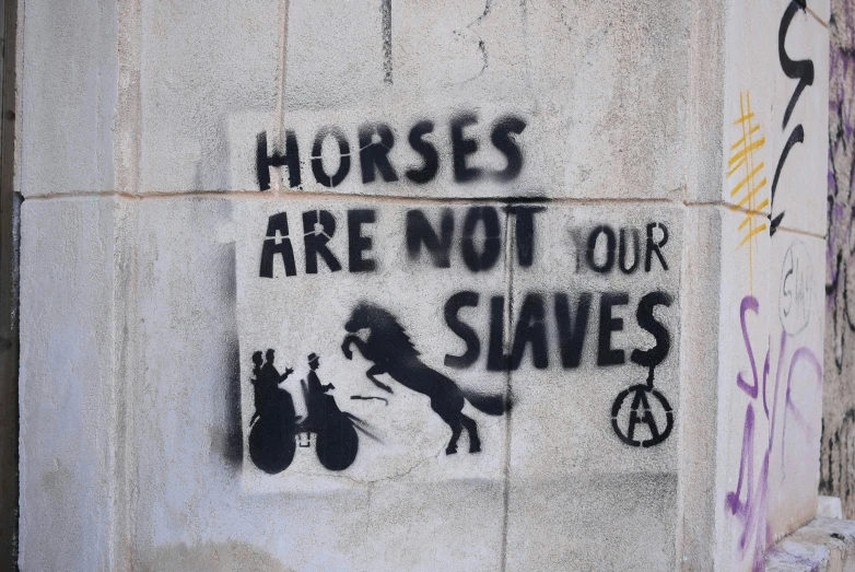 graffiti with the words horses are not our s